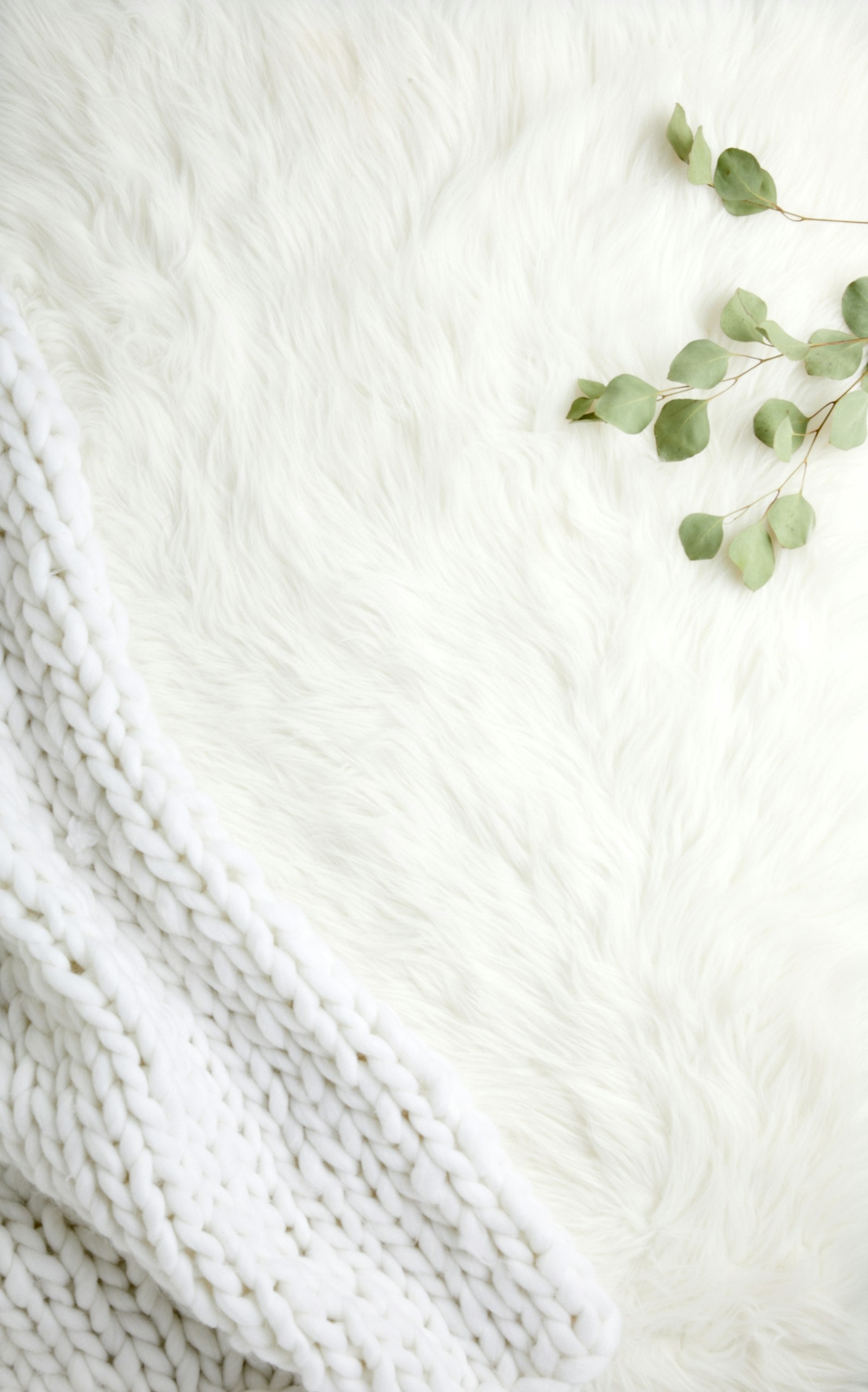 Cashmere Pet Blanket